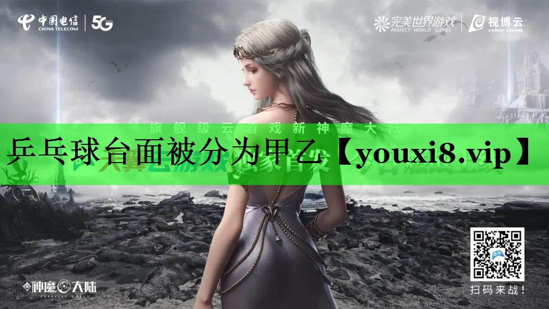 乒乓球台面被分为甲乙
