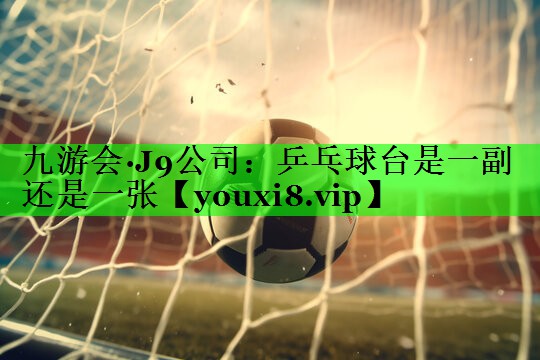 乒乓球台是一副还是一张
