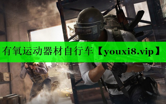 有氧运动器材自行车