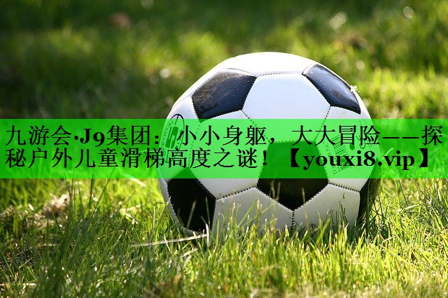 小小身躯，大大冒险——探秘户外儿童滑梯高度之谜！